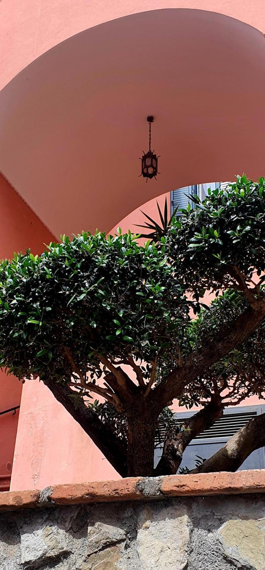 La Maison Rose Maiori Εξωτερικό φωτογραφία